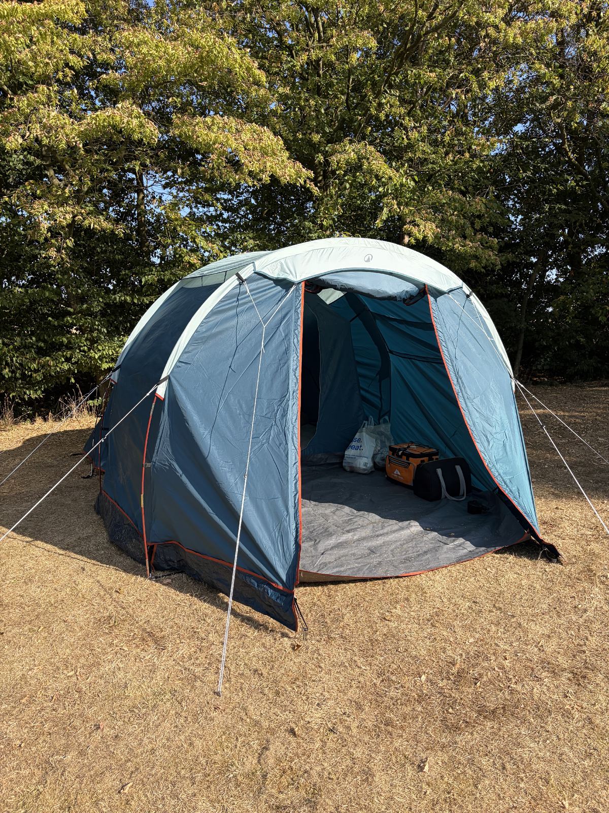 Our blue Arpenaz 4.1 tent pitched on the grass beneath the trees at Stocks Farm Camping.